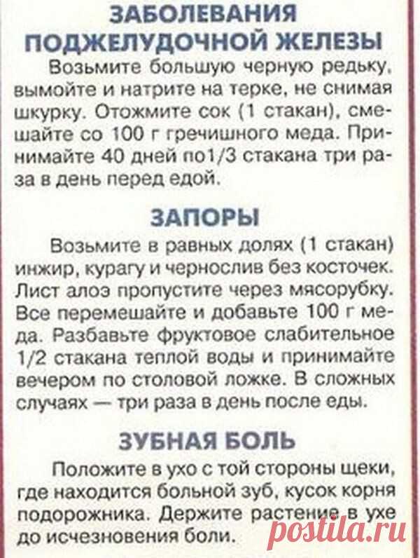 Полезные советы