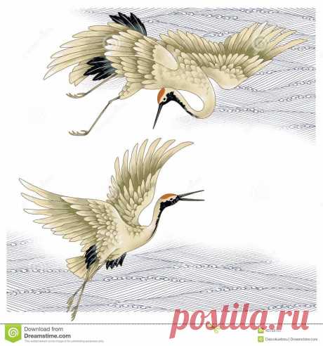 рисунки птиц карандашом цапли: 14 тыс изображений найдено в Яндекс.Картинках