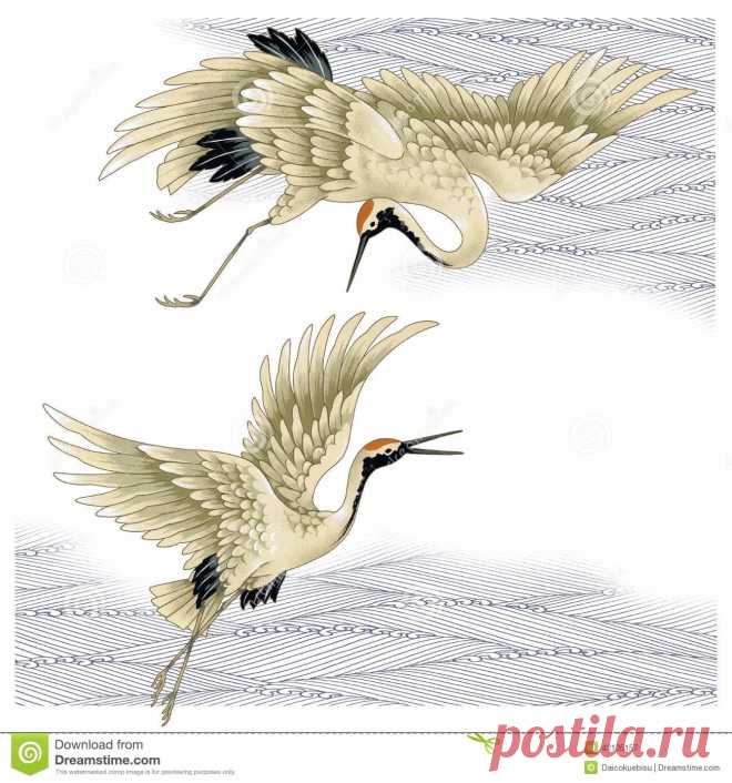 рисунки птиц карандашом цапли: 14 тыс изображений найдено в Яндекс.Картинках