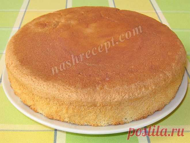 Бисквитный торт. Классический рецепт c пошаговыми фото | Наш Рецепт. Вкусные рецепты