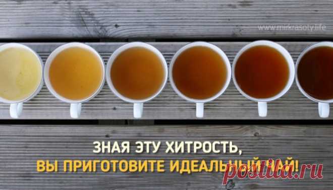 Если вы любите чай, обязательно прочтите эту статью! | АйДаМы | У нас Всегда лучшее