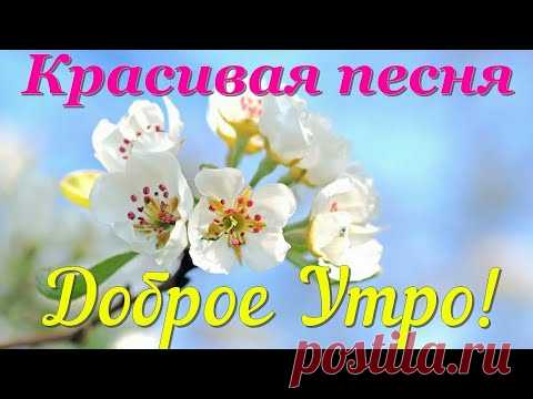 Доброго Утречка и Отличного Настроения на весь День ! Красивая песня в пожелании Доброго Утра !