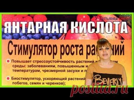 Мощный стимулятор роста - ЯНТАРНАЯ КИСЛОТА! Удобрение для растений: томатов, огурцов, орхидей и тд.
