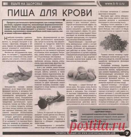 Пища для крови