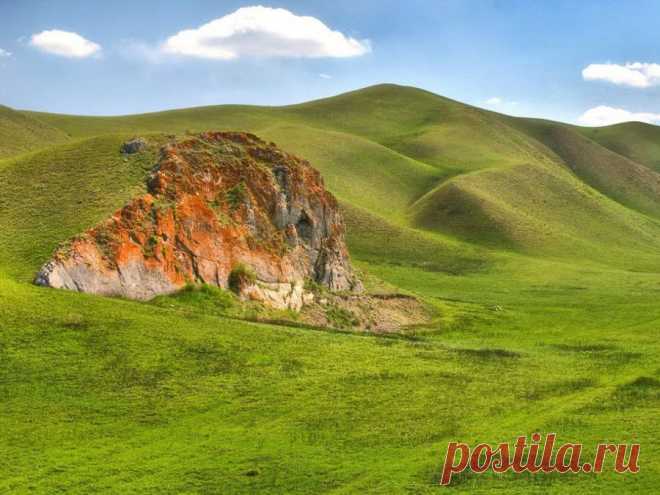 Айтуарская степь.Оренбургская. Ю-Урал.