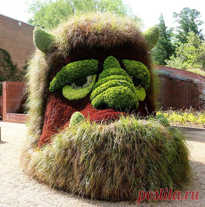 Живые гиганты ботанического сада Атланты | Хвастунишка