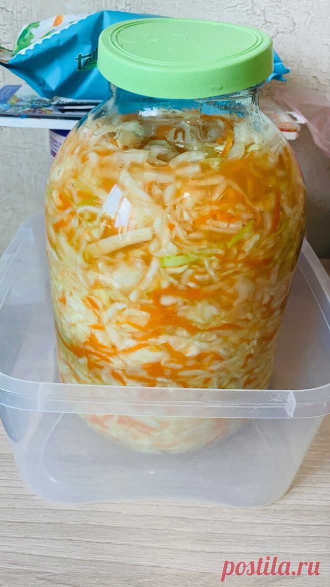 Квашеная капуста. Открою великую тайну, что делать, чтобы капуста не «засопливилась» и не стала мягкой. | Худеющая жена повара | Яндекс Дзен
