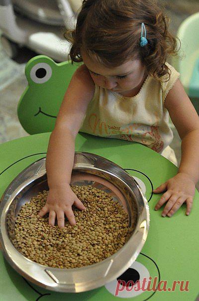 Развиваем моторику любимых лапок.