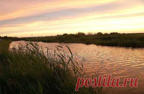 Ловля карася в проводку на быстром течении - В огороде с Верой Водян