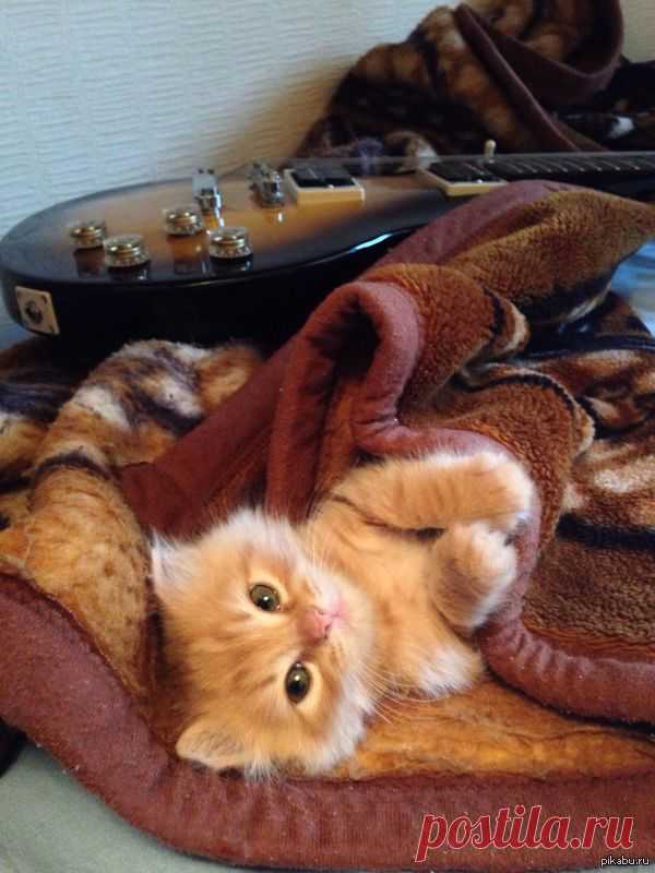 1429032522_733935857.jpg (600×800)