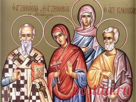 12 ноября - Синичкин день.
