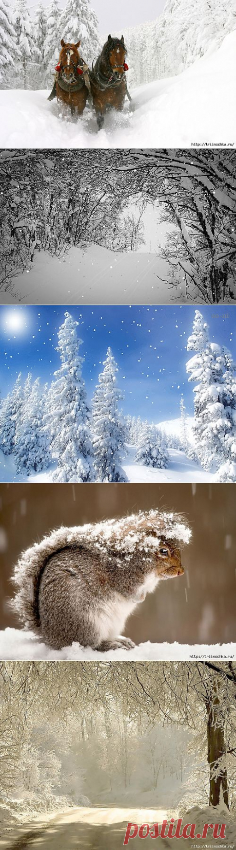 Тихо падает снег….
