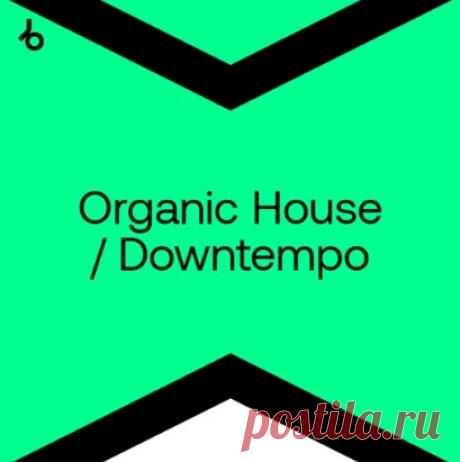 BEATPORT BEST NEW ORGANIC HOUSE / DOWNTEMPO: DEC DATA CREATED: 05/12/2022  	QUALITY: MP3/320 kbps  	GENRE: Organic House / Downtempo  Tracklist 1. Articulation - OHMZ - Articulation 2. Orient Express - M