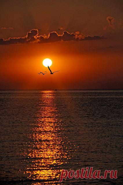 The Black Sea, Varna, Bulgaria | Bulgaria / Bulgarie / България