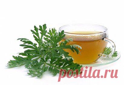 Долой изжогу!
Хочу поделиться рецептом, который помог мне избавиться от изжоги навсегда!
Заливала 1 ст.л. травы чернобыльника (полынь обыкновенная) 200 мл кипятка, ставила на огонь и кипятила в течении 6-7 минут. Затем остужала и процеживала. Пила по 100 мл утром натощак. П