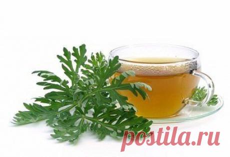 Долой изжогу!
Хочу поделиться рецептом, который помог мне избавиться от изжоги навсегда!
Заливала 1 ст.л. травы чернобыльника (полынь обыкновенная) 200 мл кипятка, ставила на огонь и кипятила в течении 6-7 минут. Затем остужала и процеживала. Пила по 100 мл утром натощак. П