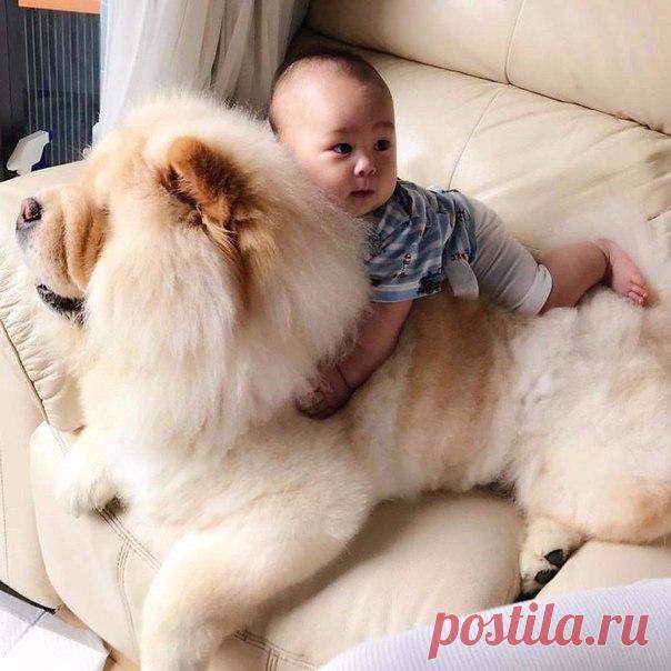 Надо похудеть на 8 кг за неделю? Делайте вот это !
Смотрите продолжение у нас  Девушка с обложки