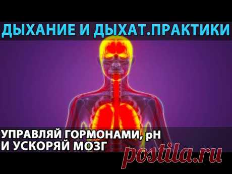 ☝🎬 Новое видео &quot;Дыхание и дыхательные практики: как эндогенный «ноотроп» и мощный психостимулятор, корректор кислотно-щелочного равновесия (pH), биохимии гормонов и нейромедиаторов, и в целом сильнейший рычаг управления своим здоровьем и функциональностью мозга&quot;.