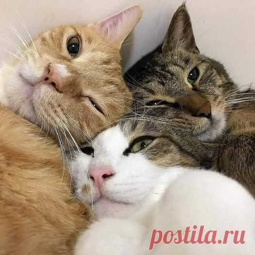 (20+) Facebook