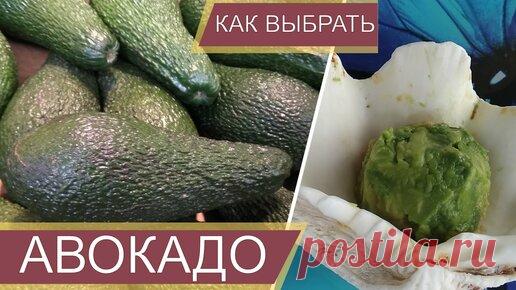 Семь цветов жизни в 60+ | Что делать если купили не спелый авокадо