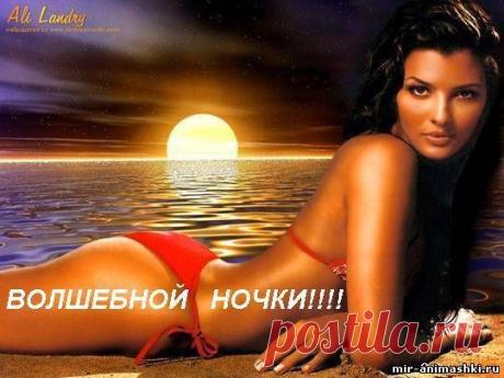 Спокойной ночи - Спокойной ночи
