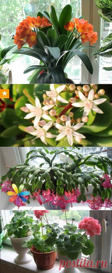 Одноклассники