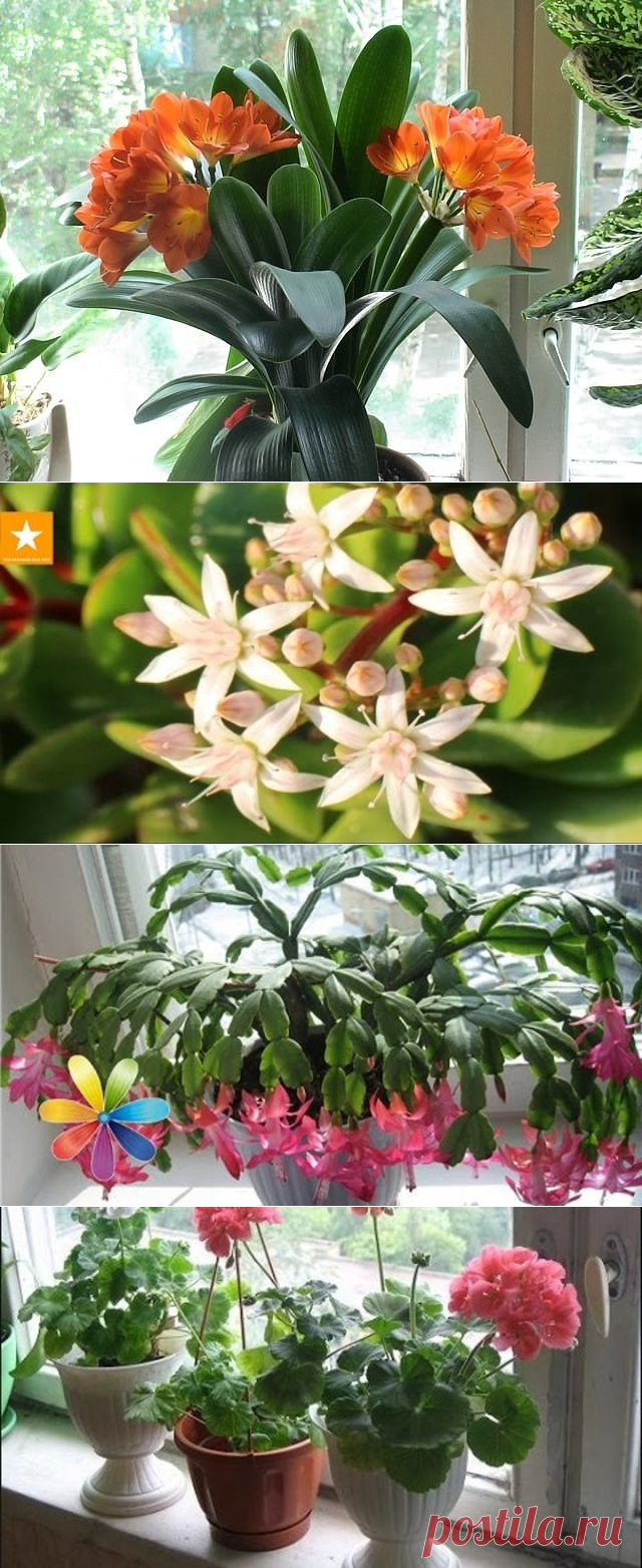 Одноклассники