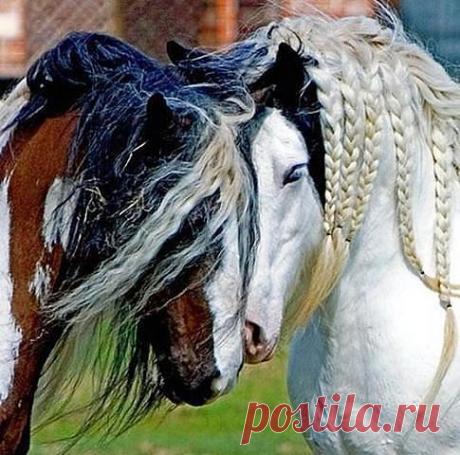 монастыри храмы иконы
Людмила Соловьёва-Коржова