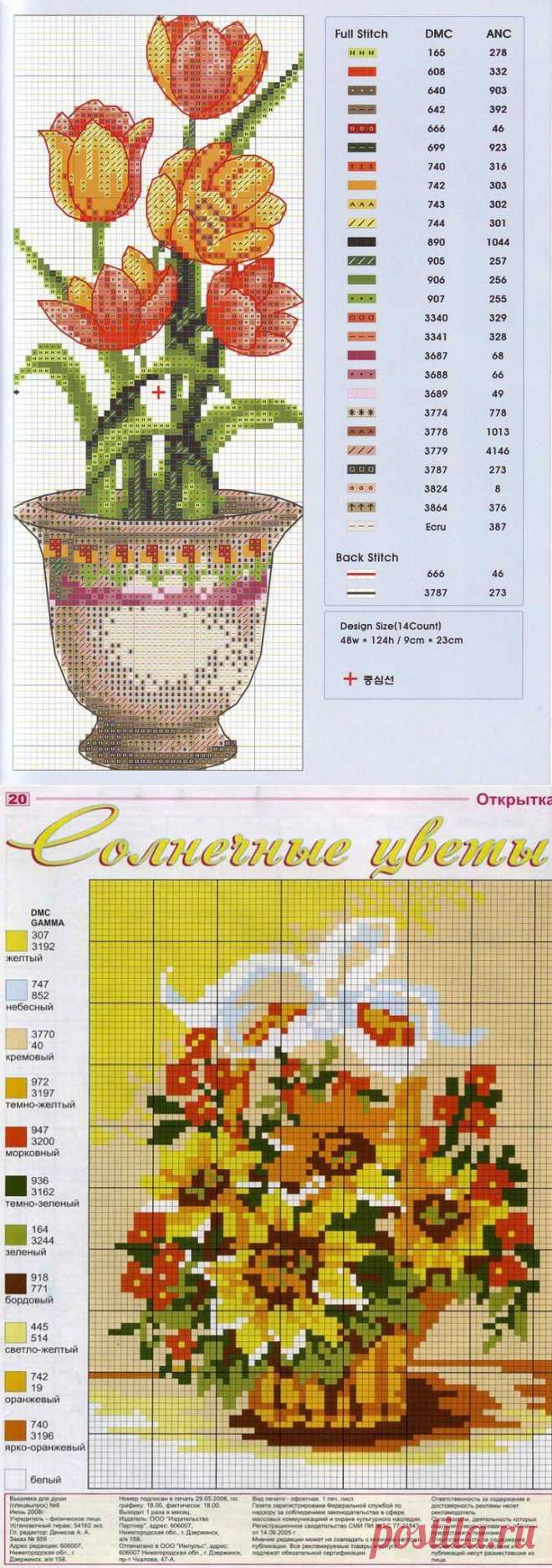 СОЛНЕЧНЫЕ ЦВЕТЫ..