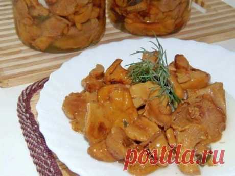 Соленые лисички рецепт