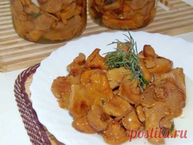 Соленые лисички рецепт