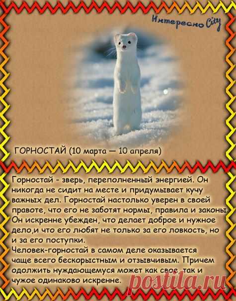 ИнтересноCity