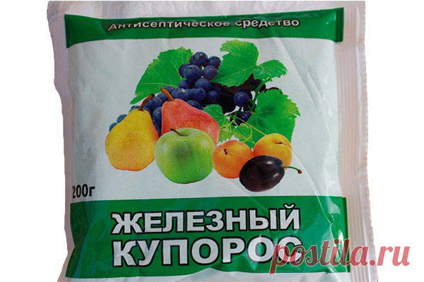 Железный купорос: применение в садоводстве, преимущества и недостатки - Цветочки - медиаплатформа МирТесен