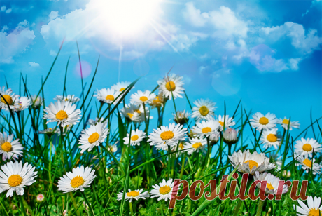 Праздники и памятные даты июня - календарь праздников