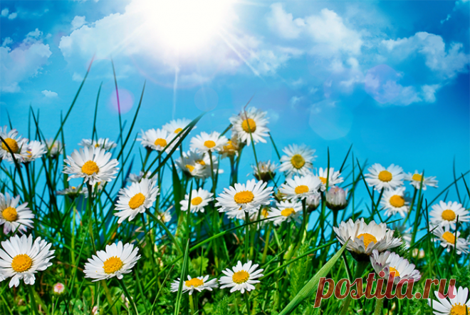 Праздники и памятные даты июня - календарь праздников