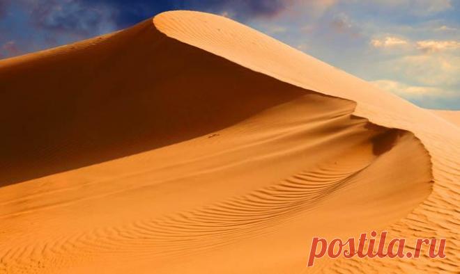 Самое интересное о пустыне