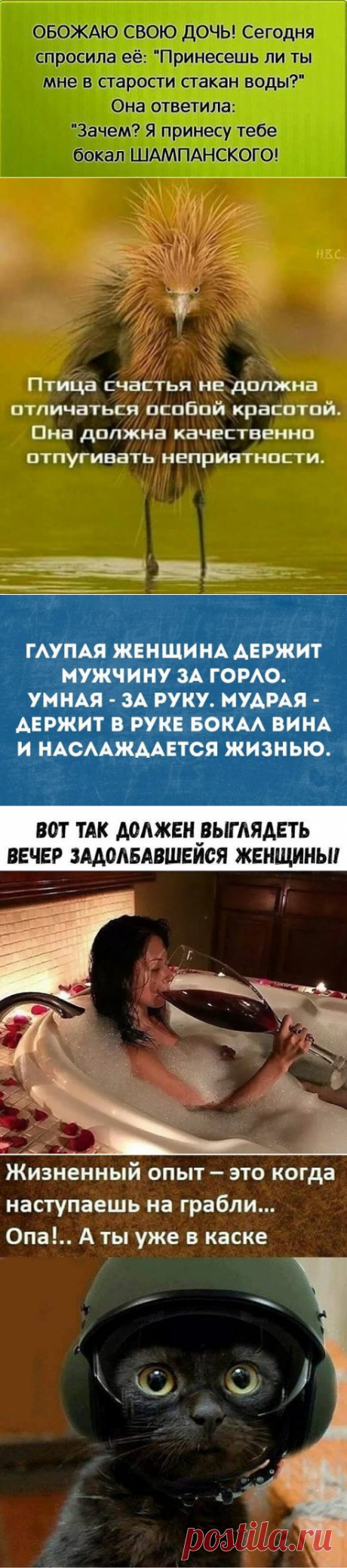 Свежий заряд позитива: 18 классных анекдотов и шуток в картинках