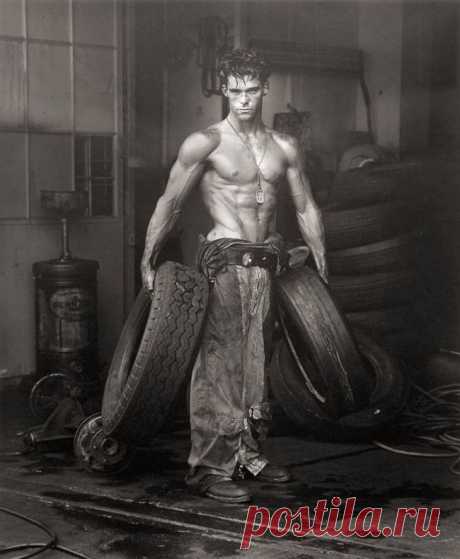 Манифест красоты и свободы Херба Ритца