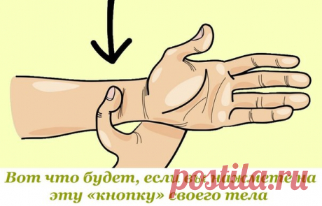 Вот что будет, если вы нажмете на эту «кнопку» своего тела
В вашем теле есть все, чтобы вы могли облегчить свои душевные страдания и даже физическую боль. У вас есть все, чтобы построить новую жизнь и сбросить вес. Нужно лишь знать немного больше об энергетических каналах своего тела и пользоваться этими знаниями.

Сосредоточимся на стрессе. Если вы чувствуете, что прямо сейчас жизнь давит на вас сильнее обычного, выделите себе пару минут и хоть прямо на рабочем месте зажм...