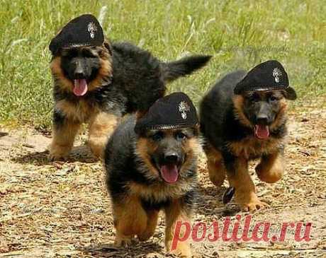 Крутые парни,,,)))