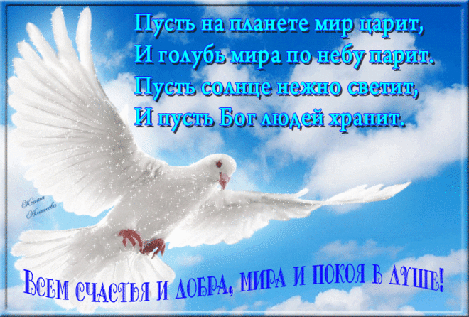 Фото – Google+