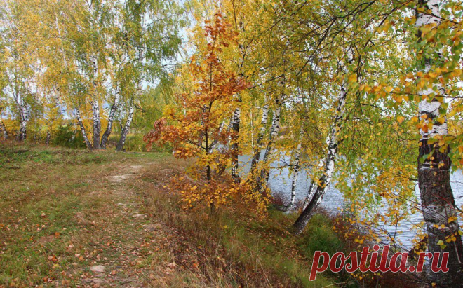 Галина Крыжановская
63 года, Россия, Чехов