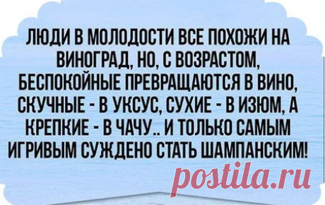 ПРИТЧА НЕДЕЛИ. Правда и Притча | Хвастунишка