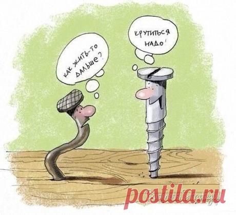 39791066.jpg (548×500)