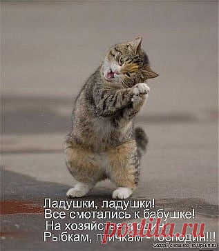 Одноклассники