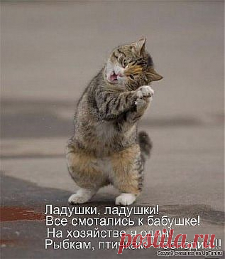 Одноклассники