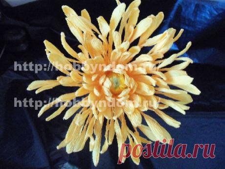 Без заголовка