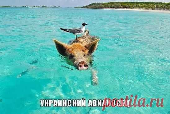 (54) Одноклассники