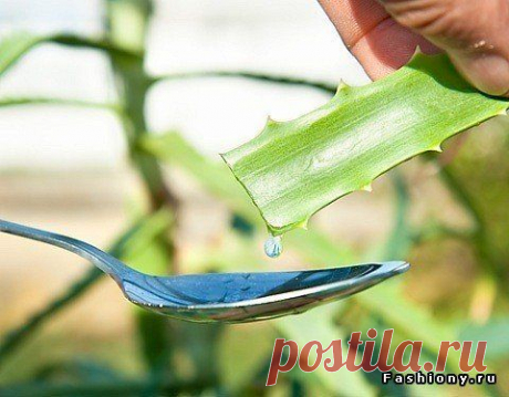 КОГДА ЛЕКАРСТВА ДОРОЖАЮТ, СТОИТ ВСПОМНИТЬ «БАБУШКИНЫ» РЕЦЕПТЫ. | Познавательный сайт ,,1000 мелочей"