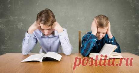 Почему троечники успешнее отличников . Милая Я